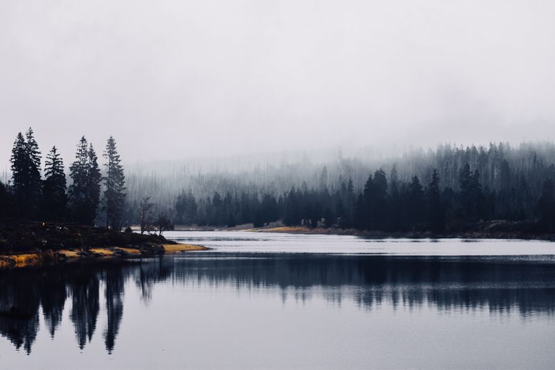 Pescuit la plută pe un lac liniștit – metoda ideală pentru începători