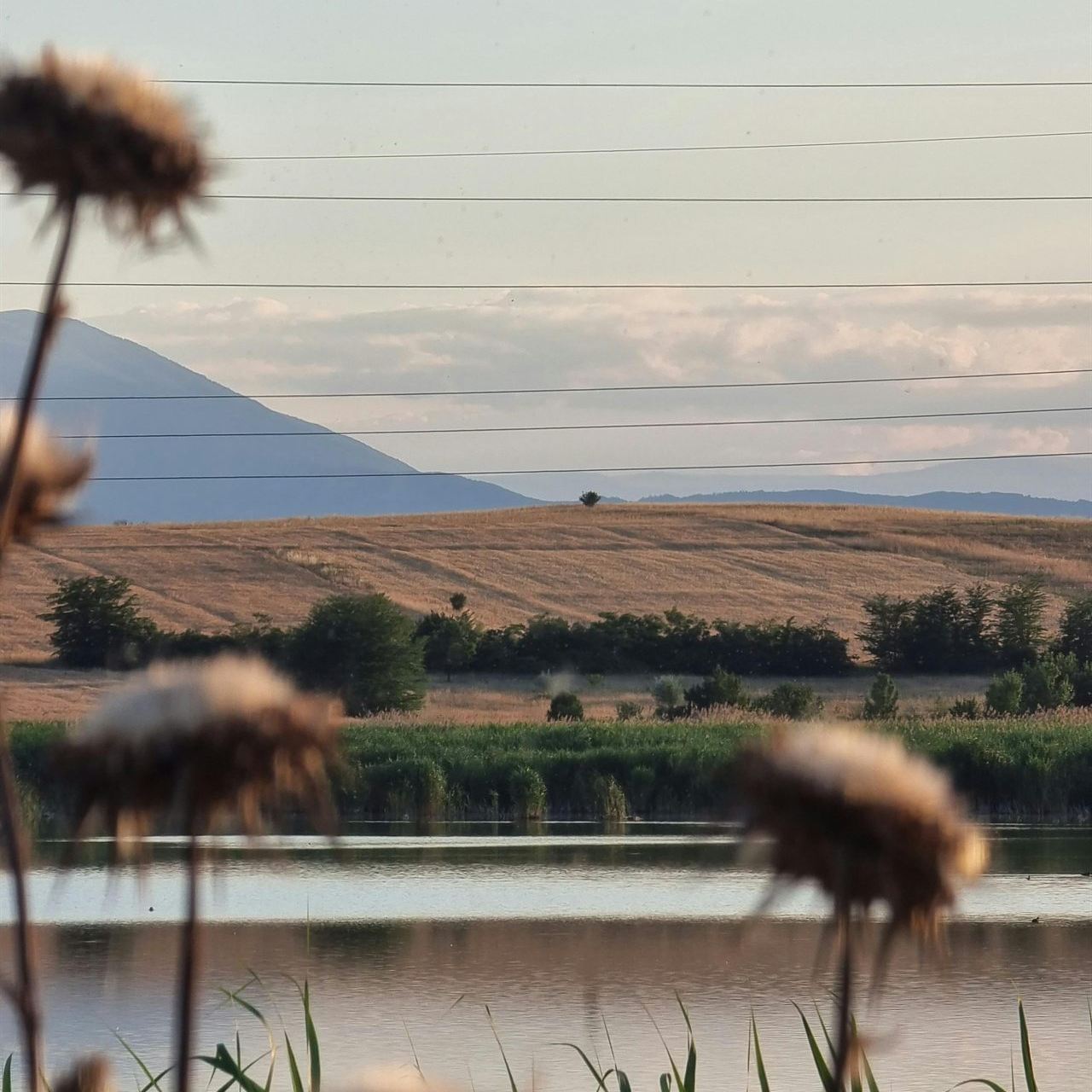 Pescuit primăvara