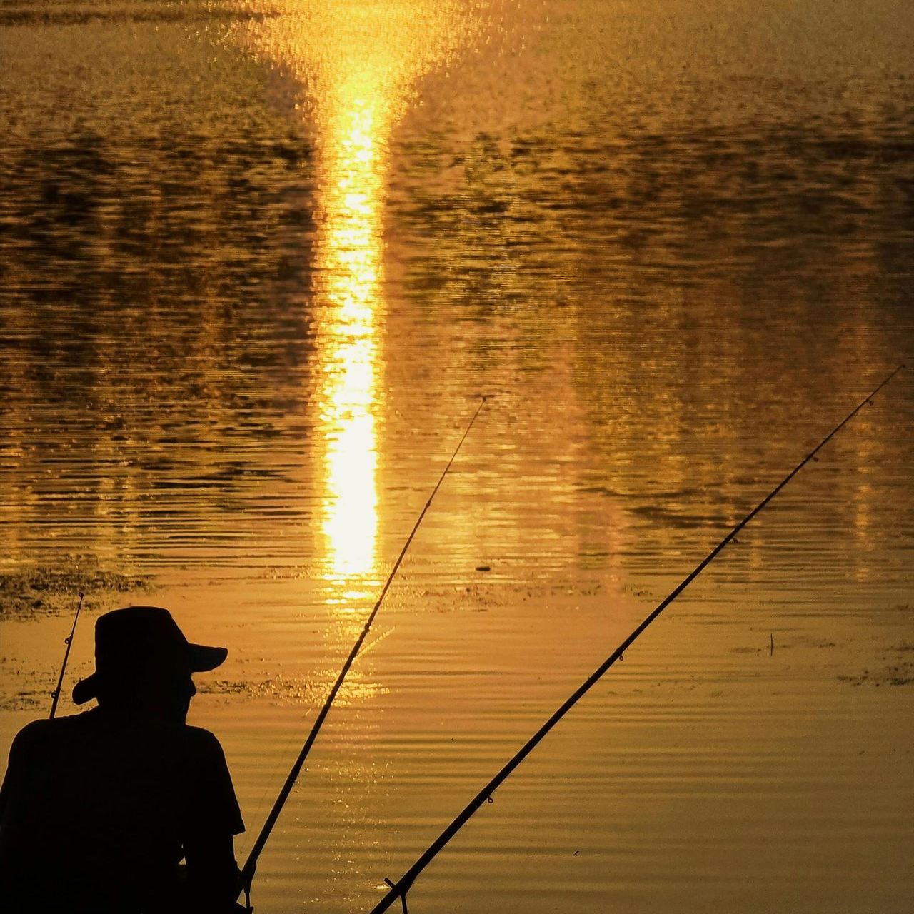 Pescuit la feeder pe malul apei